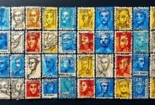 教育类企业研发项目报告的AI富文档方法-Raccoon