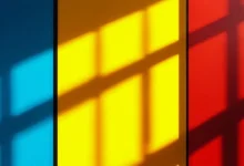 Python 数据分析与可视化的性能优化技巧-Raccoon