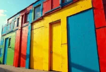 中文在线分析工具的客服支持和帮助-Raccoon