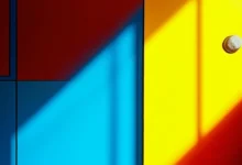 在线数据统计的隐私保护方法和技巧-Raccoon