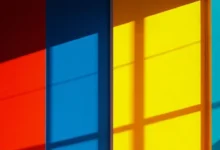 个人知识库的发展规划模板-Raccoon