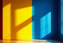 解数学题的初中几何最值问题解题技巧和方法有哪些-Raccoon