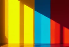 数据统计网站的免费功能和付费功能对比-Raccoon