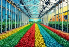 新手写作的 AI 助手使用技巧-Raccoon