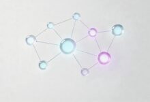 什么是数智化？企业为什么要进行数智化转型？-Raccoon