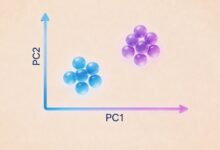 如何利用个性化生成提升报告编写效率？-Raccoon