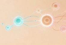 AI资产管理中的机器学习模型如何部署？-Raccoon