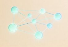 个人知识管理工具推荐与对比-Raccoon