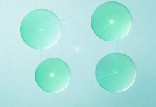 如何制定个性化计划实现业务目标？-Raccoon