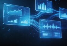 个性化方案生成的案例分析与效果评估-Raccoon