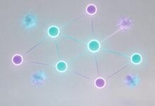 个性化信息分析如何实现自动化？-Raccoon