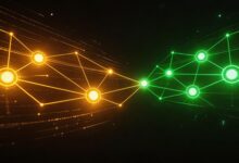 个性化方案包括哪些内容？方案结构模板-Raccoon