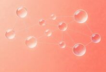 网络数据分析工具推荐:免费vs付费哪个好用-Raccoon