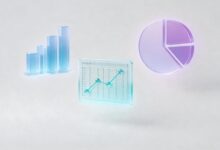 信息检索技巧大公开，让你轻松获取所需-Raccoon