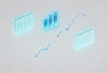 个性化方案生成的常见挑战与解决方案有哪些？-Raccoon