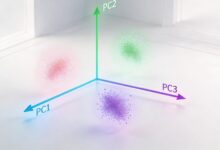 安全数据库选型指南？-Raccoon