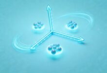 企业专属知识库哪家好？-Raccoon