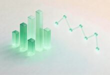 如何进行个性化数据分析提升营销效果？-Raccoon