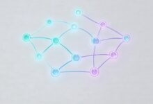 智能规划API接口如何调用?二次开发指南-Raccoon