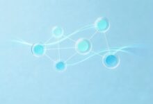 个性化计划生成工具的使用流程与案例-Raccoon