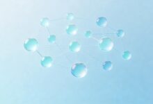 智能规划系统和传统项目管理软件核心区别在哪？-Raccoon