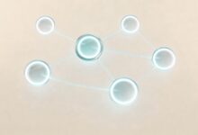 什么是智能规划？AI如何改变传统任务管理方式-Raccoon