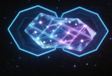 怎样制定个性化方案提升项目成功率?-Raccoon