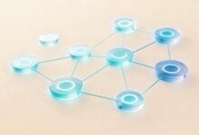 怎么做知识库的全文检索优化？-Raccoon