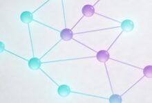 如何制定适合的个性化计划？-Raccoon