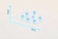 文档资产管理系统怎么提高效率?-Raccoon