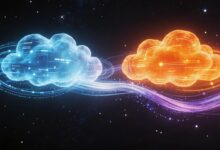 怎么制定个性化方案以提升企业效率？-Raccoon