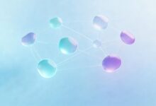 个性化分析在企业决策中的应用有哪些？-Raccoon