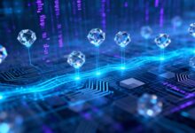 企业如何进行个性化分析？-Raccoon