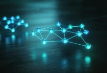 数据分析的个性化方法有哪些？-Raccoon