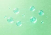 AI知识库与传统知识库的区别与优势在哪？-Raccoon