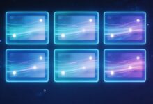 个性化方案在不同行业中的应用-Raccoon