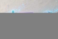 企业文档资产管理的最佳实践-Raccoon