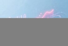 AI资产管理中的数据治理实践-Raccoon