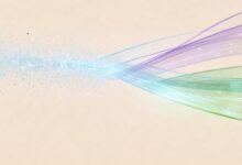 如何通过个性化写作提升内容转化率?-Raccoon