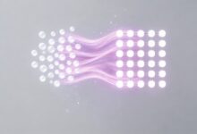 个性化方案包括哪些类型？AI方案生成应用场景-Raccoon