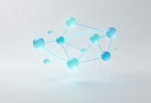 AI在个性化信息分析中的最佳实践-Raccoon