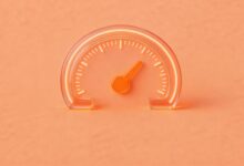 企业如何制定个性化方案?-Raccoon