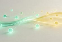 如何在百度SEO中使用个性化方案提升内容曝光?-Raccoon