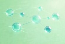 AI历史解题助手能替代老师讲解吗？-Raccoon