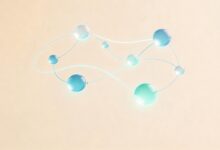 如何验证AI给出结论的准确性？-Raccoon