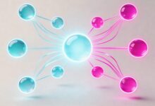 知识搜索在百度中的排名因素有哪些？-Raccoon