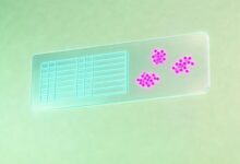 AI解跨学科综合题（理化生融合）的能力测试-Raccoon