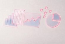 AI个性化计划的制定流程详解-Raccoon