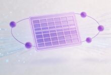 AI在个性化分析中的应用前景-Raccoon