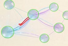 智能规划中的风险管理怎么做？AI识别潜在问题的机制-Raccoon